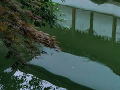 -秋霞圃