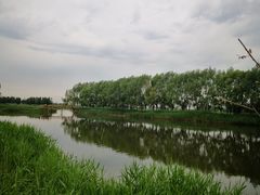 -白渔泡湿地公园