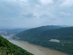 -铁山坪森林公园