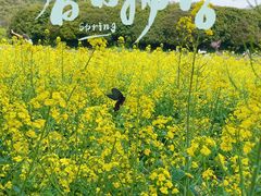 -铭莲·八卦田水上餐厅