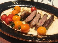 -哈布斯扒房(华发商都店)