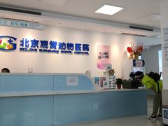 -北京观赏动物医院·24小时大型综合·猫专科·异宠专科
