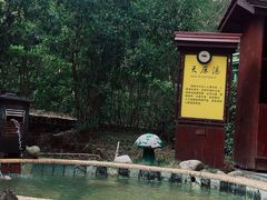 -三江森林温泉度假区