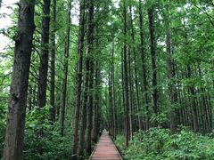 -同里国家湿地公园