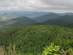 -武陵山森林公园