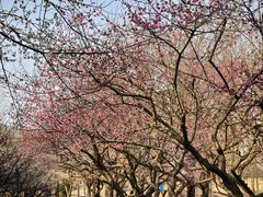 -浙江农林大学(东湖校区)