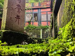-青城山