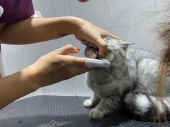 -宠颐生动物医院·小陆分院