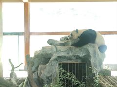 -云南野生动物园