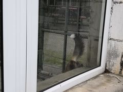 -哈尔滨北方森林动物园