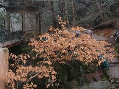 -太湖源风景区