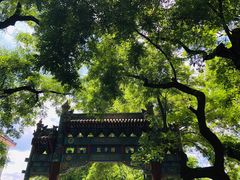 -北京国子监胡同