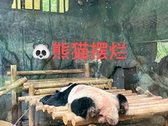 -深圳野生动物园