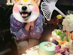 -黑桃K生日订制KTV