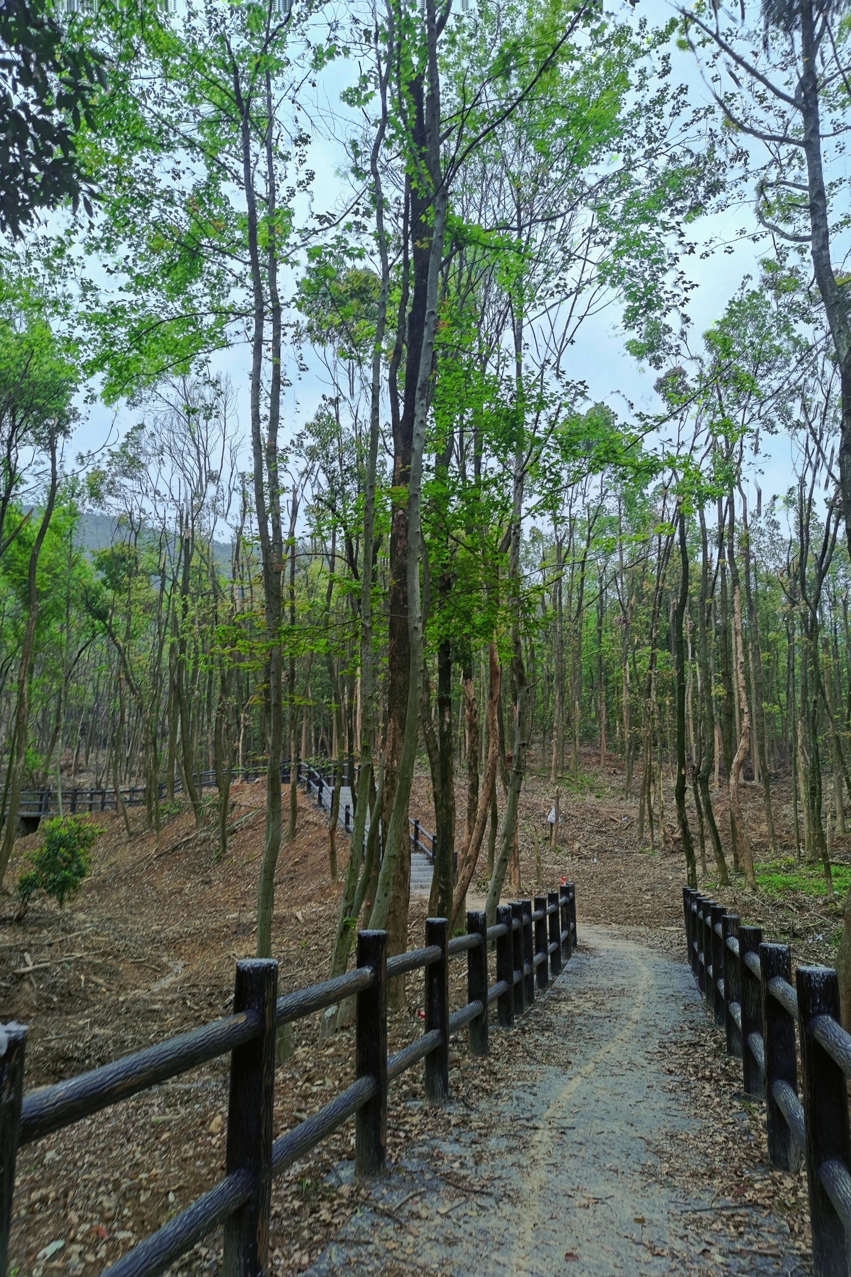 江夏八分山绿道路线图图片