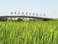 -西安浐灞国家湿地公园