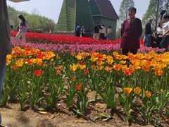 -石家庄市植物园
