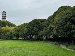 -江心屿景区