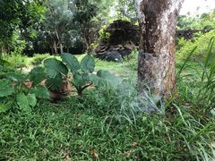 -海南热带野生动植物园