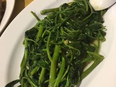 -ZF Seafood Restaurant 卓峰海鲜餐