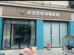 -佳怡动物医院·平价24小时·猫专科骨外科