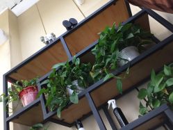 -JM STYLE造型明星.网红