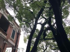 -星巴克臻选(广州沙面店)