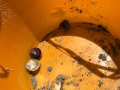 -北海金海湾红树林生态旅游区