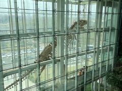 -吉林省自然博物馆