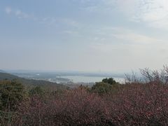 -香雪海
