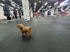 -FIGHTMAN格斗俱乐部(长宁临空店)