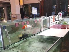 -百鱼庄(仙葫店)