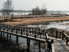 -野鸭湖国家湿地公园