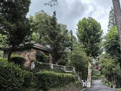 -莫干山风景区