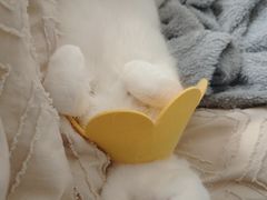 -沐沐家宠物(成寿寺店)