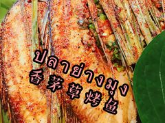 -半坡九号老挝冰咖啡