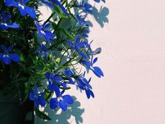 -好特卖HotMaxx(龙湖杭州江东天街店)