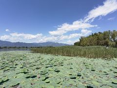 -野鸭湖国家湿地公园