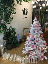 -Union瑜伽健康管理中心