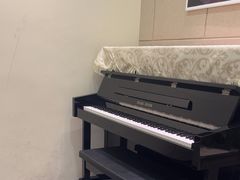 -知音艺术教育培训·钢琴培训·音乐培训(河西金鹰世界校区)