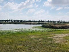 -春花秋色城市公园