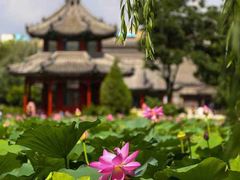 -莲池书院博物馆