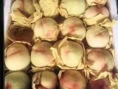 -南汇新场正宗水蜜桃采摘