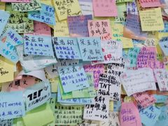 -沉香牛肉面