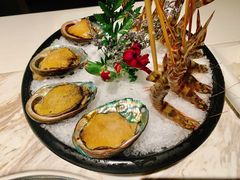 -汤城·料青山