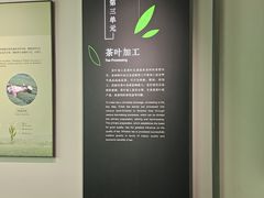 -中国茶叶博物馆(双峰馆区)