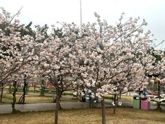 -盈香心动乐园