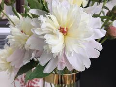 -Flower in(密渡桥店)
