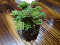 -兄弟宁乡龙城(麓景路店)