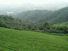 -敬亭山风景名胜区